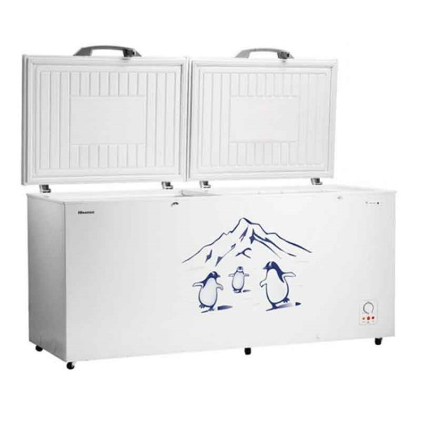 Hisense 660L 2-Door Commercial Chest Freezer