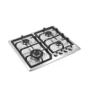 Digiwave Stainless Steel 4-Burner Gas Stove – Auto Ignition (Built-in)